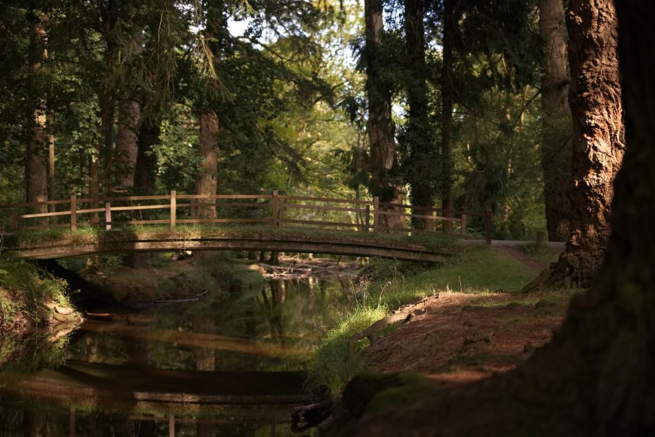 The Cloud Brockenhurst Ngoại thất bức ảnh